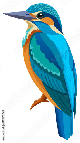 blue tit isolated on white background