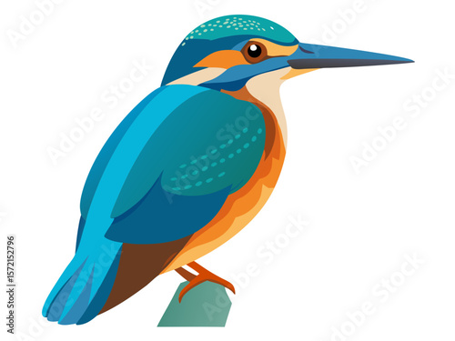 lilac breasted roller
