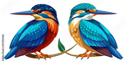 blue and red macaw
