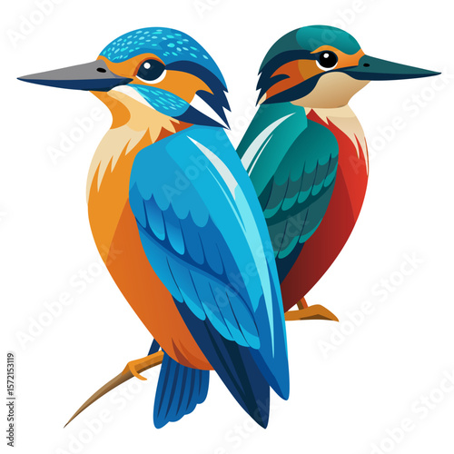 vector illustration of a bird