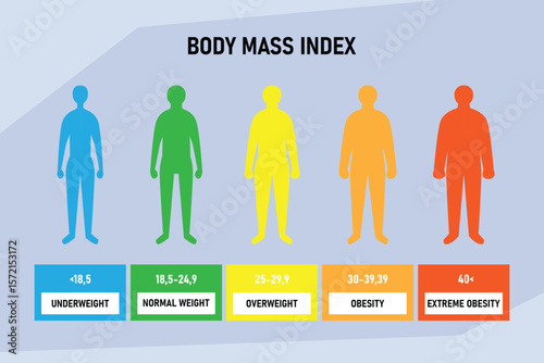 Body Mass Index (BMI) Chart for Weight Categories 2d flat vector illustrations