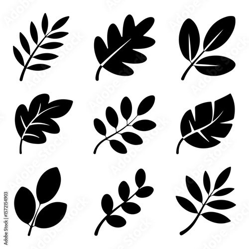 Different design leaf collection on isolated with white background