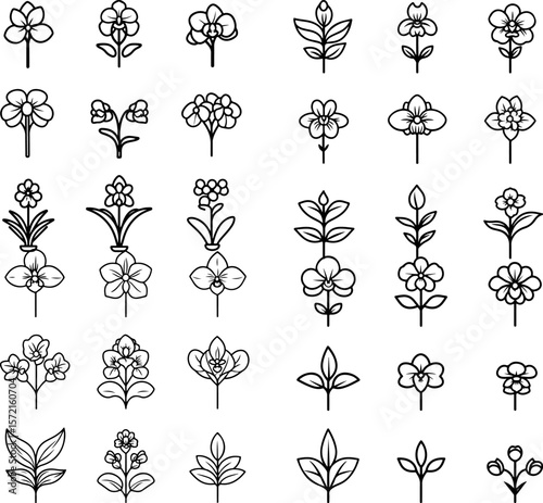 orchid icons, orchid flower, exotic bloom, tropical flower, delicate petals, vibrant orchid, floral design, botanical icon, elegant flower, luxury flower, rare bloom, pink orchid, purpl