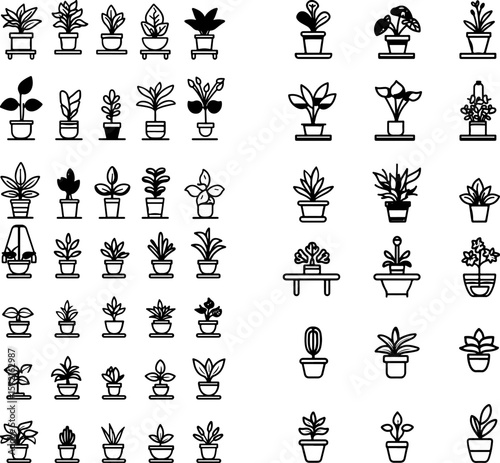 indoor plant icons, houseplants, potted plants, living room plants, home greenery, indoor foliage, decorative plants, low light plants, small indoor plants, large indoor plants, tropica