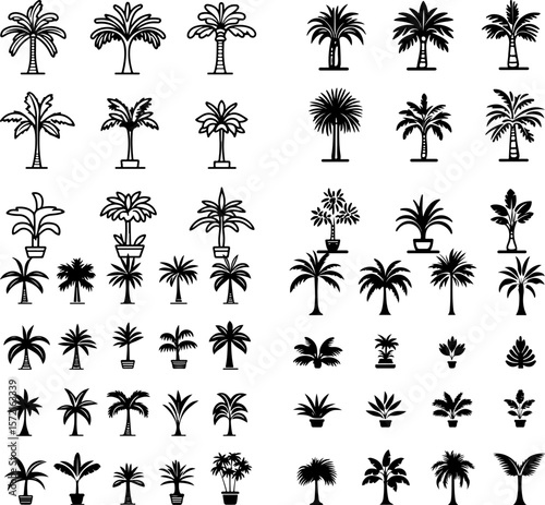 palm icons, palm tree, tropical palm, coconut palm, date palm, palm fronds, palm leaves, beach palm, island palm, exotic palm, tall palm tree, short palm tree, palm silhouette, potted p