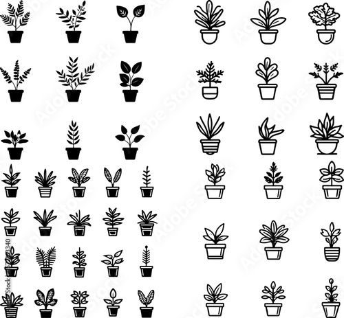 fern icons, fern plant, botanical fern, leafy fern, green fern, indoor fern, outdoor fern, tropical fern, forest fern, wild fern, fern leaf, potted fern, decorative fern, hanging fern,