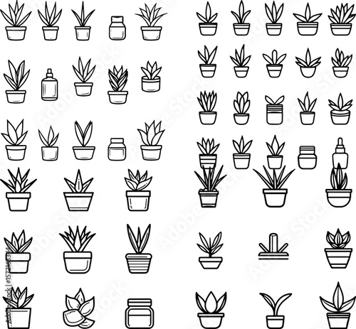 aloe vera icons, aloe plant, medicinal plant, succulent aloe, potted aloe, green aloe, aloe vera leaf, aloe gel, skincare plant, healing plant, desert plant, tropical aloe, cosmetic pla