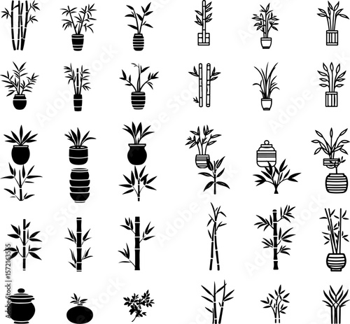 bamboo icons, bamboo plant, bamboo stalks, green bamboo, bamboo leaves, lucky bamboo, potted bamboo, bamboo forest, tall bamboo, tropical bamboo, indoor bamboo, outdoor bamboo, decorati