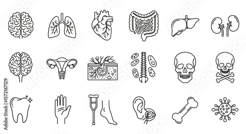 Human Anatomy and Medical Conditions Line Icon Set