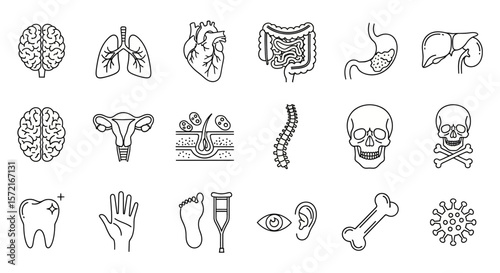 Human Anatomy and Medical Conditions Line Icon Set