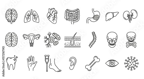 Human Anatomy and Medical Conditions Line Icon Set