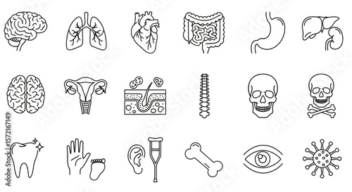Human Anatomy and Medical Conditions Line Icon Set