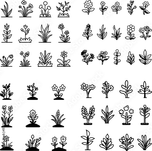 ground cover icons, groundcover plants, low-growing plants, garden ground cover, evergreen ground cover, soil cover, creeping plants, ground-hugging plants, shade ground cover, perennia