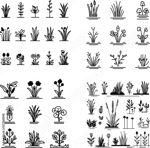 bog garden, wetland garden, marsh garden, swamp garden, water-loving plants, bog plants, bog soil, wetland plants, aquatic garden, moisture-loving plants, bog environment, swampy terrai