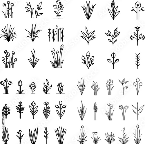 marginal plants, water plants, pond plants, wetland plants, aquatic plants, shoreline plants, garden plants, marginal vegetation, water garden, pond edges, wetland garden, riparian plan