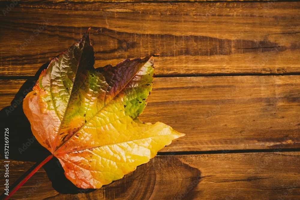 Fototapeta premium Wooden table with autumn leaves