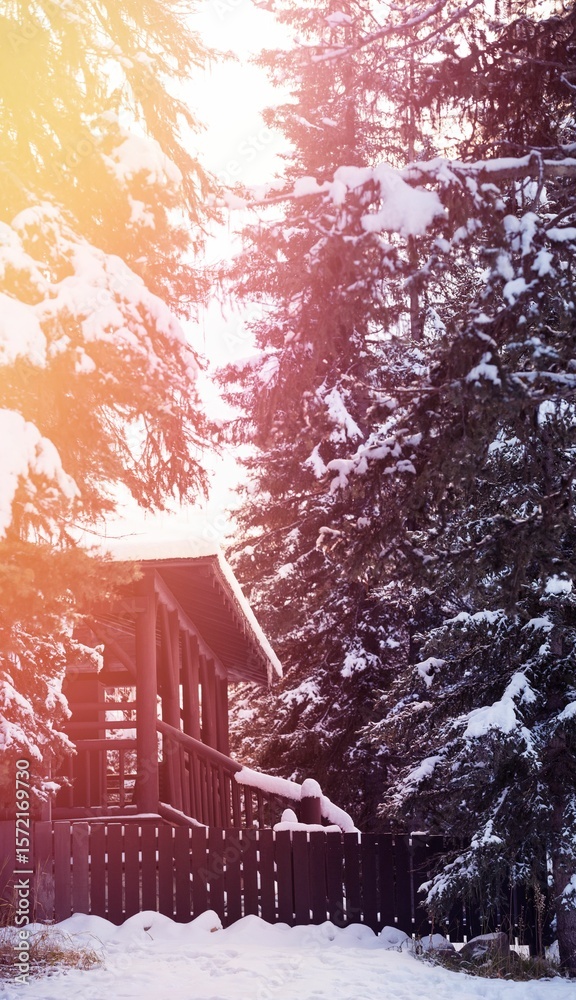 Naklejka premium Cottage amidst snow covered trees