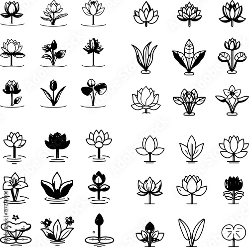 aquarium lily, water lily, aquatic lily, lily plant, aquatic flowers, pond lily, aquarium plants, underwater lily, lily pad, freshwater lily, aquatic flora, water garden lily, aquarium