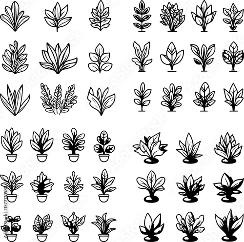Cryptocoryne, Cryptocoryne plant, aquatic plant, freshwater plant, underwater plant, Cryptocoryne icon, aquarium plant, aquatic greenery, Cryptocoryne leaves, water-loving plant, aquari