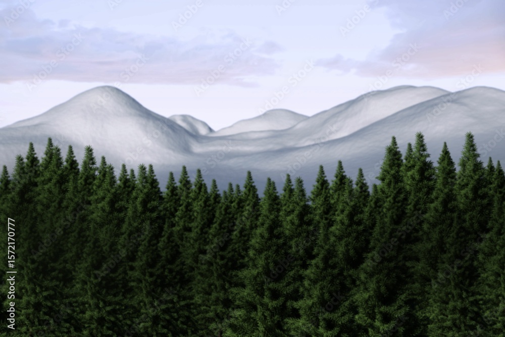 Fototapeta premium Fir tree forest in snowy land