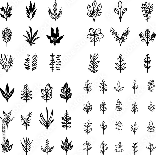 Vallisneria, Vallisneria plant, aquatic plant, freshwater plant, underwater plant, Vallisneria icon, aquarium plant, aquatic greenery, Vallisneria leaves, water-loving plant, aquarium d