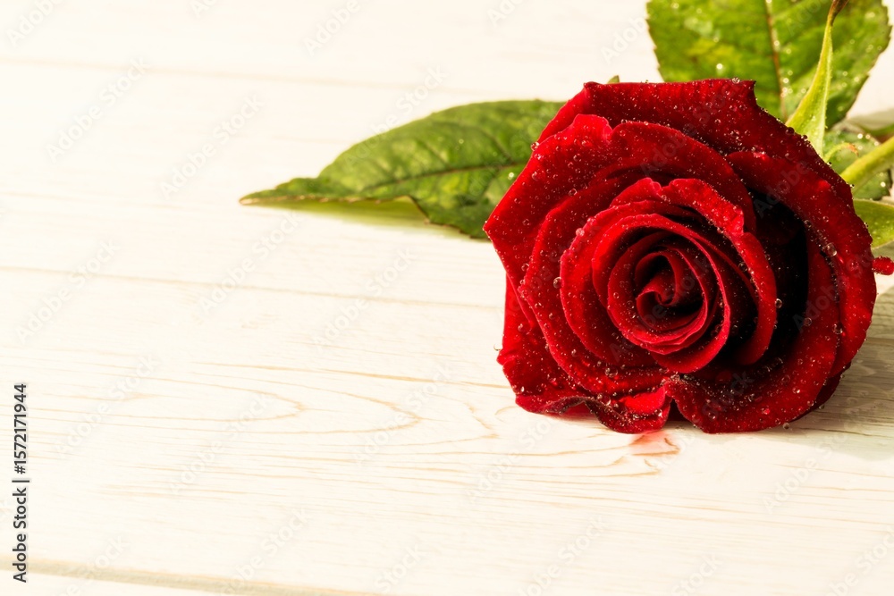 Fototapeta premium Red rose on wood with copy space