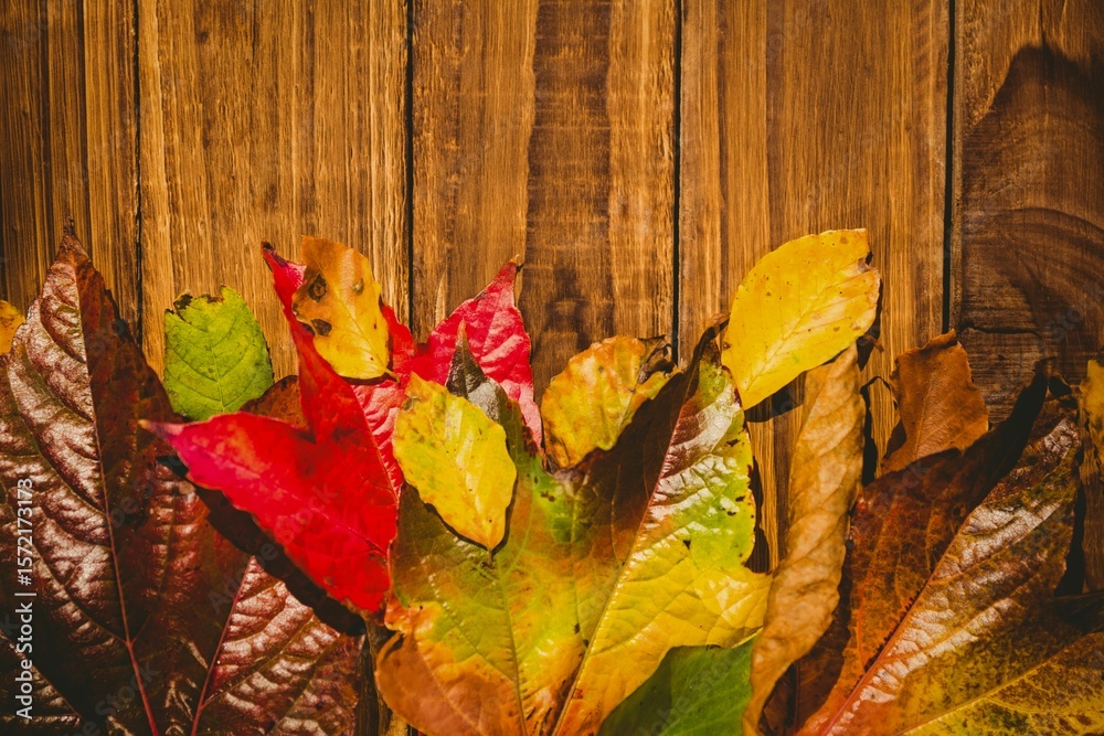 Obraz premium Wooden table with autumn leaves
