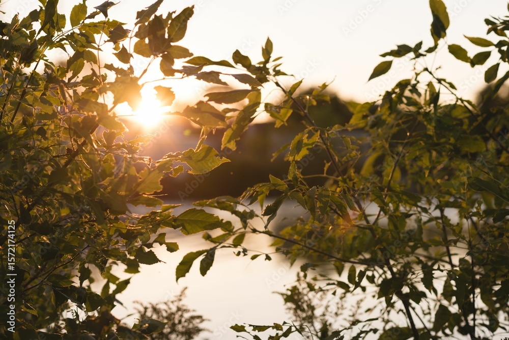 Naklejka premium autumn leaves in front of a lake