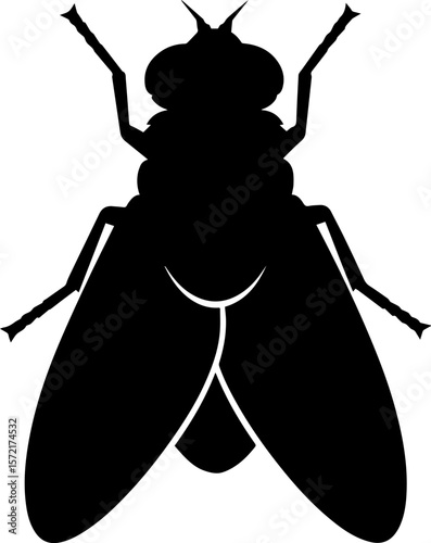 Black Fly Silhouette Vector Isolated on Transparent Background