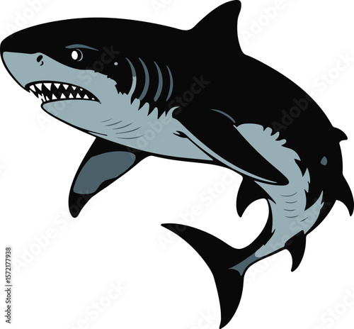Great white shark cartoon vector illustration isolated on white, showcasing a predatory fish swimming in the blue ocean