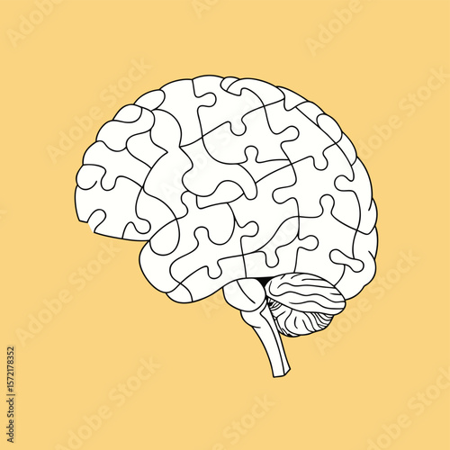 Human Brain Vector Illustration – Medical and Educational Graphic

