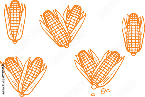 Orange Corn on the Cob Heart Icon Vector,corn, heart, orange, agriculture, love, harvest, vegetable, food, organic, healthy