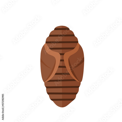 Flat vector illustration of an insect pupa stage. Represents transformation phase in the metamorphosis process. Useful for biology or educational materials