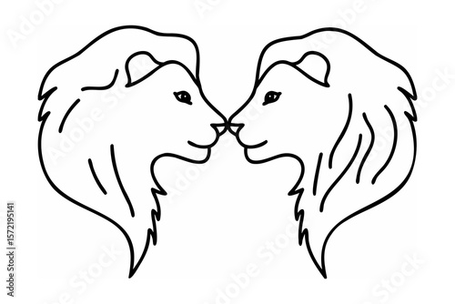 Two lions facing each other animal animals