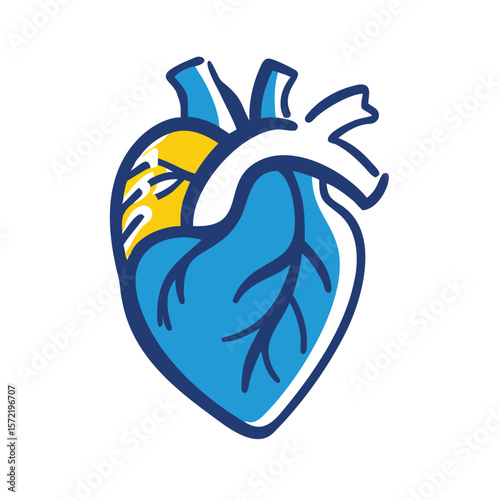 A blue anatomical heart represents cardiology and human health