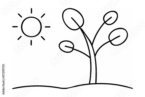 Simple sun and tree drawing outline