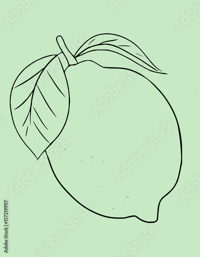 Vibrant Fruit Vector Set
Fruit Icons & Illustrations
Realistic Fruit Vectors
Hand-Drawn Fruit Vectors
