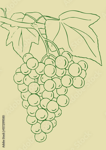 Vibrant Fruit Vector Set
Fruit Icons & Illustrations
Realistic Fruit Vectors
Hand-Drawn Fruit Vectors