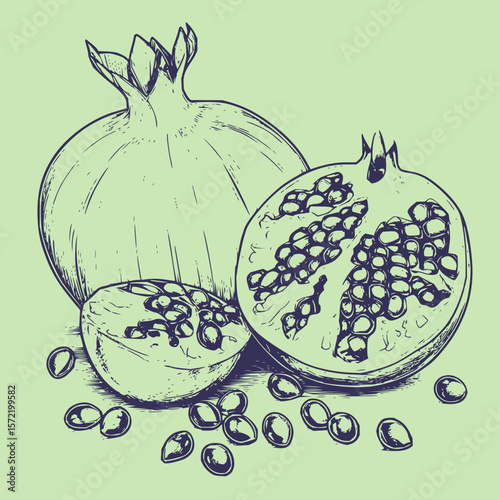 Vibrant Fruit Vector Set
Fruit Icons & Illustrations
Realistic Fruit Vectors
Hand-Drawn Fruit Vectors