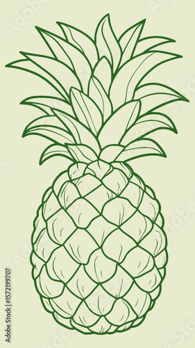 Vibrant Fruit Vector Set
Fruit Icons & Illustrations
Realistic Fruit Vectors
Hand-Drawn Fruit Vectors