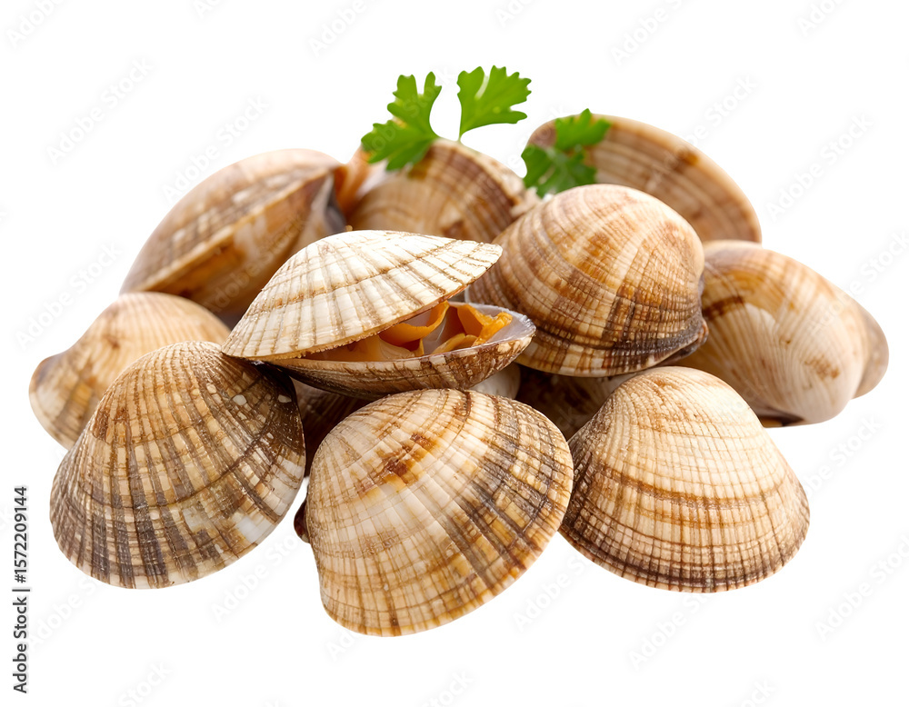 Clams: A close-up shot features a pile of fresh, uncooked clams. The textures of the shells and the subtle gradients in the marine animals suggest a delicious dish. Clams: A close-up shot features a pile of fresh, uncooked clams. The textures of the shells and the subtle gradients in the marine animals suggest a delicious dish.