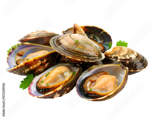 Savory Seafood Delight: A close-up shot of freshly steamed abalones mussels, showcasing their tender meat and natural colors. A culinary delight