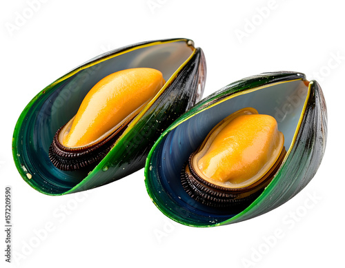Exquisite Mussels: The image showcases two vibrant green mussels, with their tender, succulent interiors elegantly displayed. It's a culinary invitation to savor the ocean's delicacies.