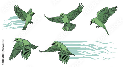 Capturing the dynamic motion of a bird in flight through a series of illustrative poses illustrating its aerial acrobatics