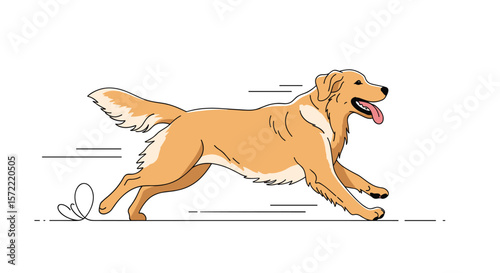 Golden retriever dog running happy and playful outdoors chasing a butterfly on a sunny day