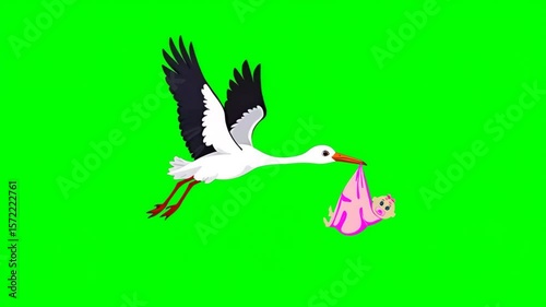 Flying stork carries a newborn baby girl in a pink bundle in its beak,  isolated on green screen, chroma key, footage, mockup, cartoon style, loop