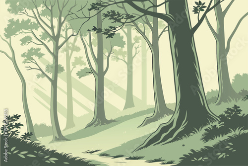 A tranquil beech-tree forest glade with tall, slender trunks and soft green foliage.