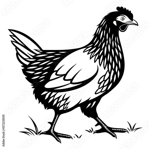 Poultry Silhouette Black and White Hen