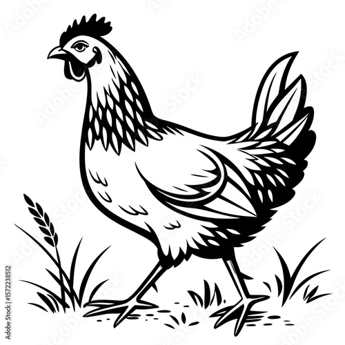 Chicken in Grass Silhouette Drawing