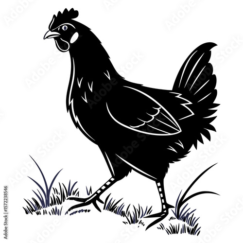 Detailed Chicken Silhouette for Logo